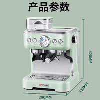 Hauswirt 海氏 意式磨豆咖啡机半自动家商用双锅炉蒸汽打奶泡机C5 绿