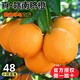 正宗江西赣南脐橙新鲜橙子3斤精品果70-85mm当季水果