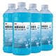 NAN SHENG 南圣 汽车玻璃水 共700ml x4瓶，共2.8L