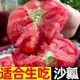 10斤普罗旺斯沙瓤西红柿