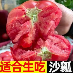 10斤普罗旺斯沙瓤西红柿
