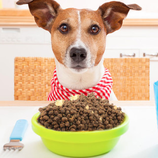 Bile 比乐 原味鲜系列 低敏无谷小型犬成犬狗粮 1.5kg