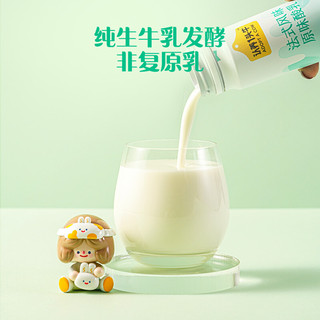 高端法式风味酸奶230g*10瓶 经典原味酸牛奶 一提装