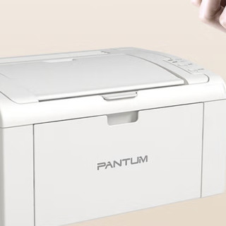 PANTUM 奔图 P2206W 黑白激光打印机 白色