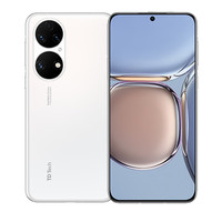 TD TECH 鼎桥 P50 5G手机 8GB+128GB 雪域白