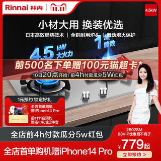 Rinnai 林内 2E02SM 燃气灶双灶 嵌入式天然气灶具家用节能猛火灶