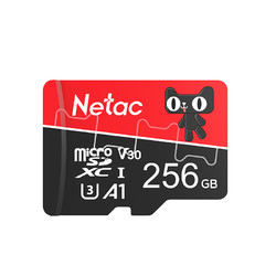 Netac 朗科 TF卡 256G pro
