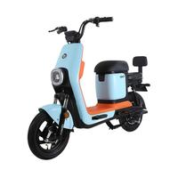 ZUB 五星钻豹 B5 Plus 电动自行车 TDT30Z 48V24Ah锂电池 活力蓝/源彩西瓜红