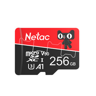 Netac 朗科 P500 SD存储卡 256GB（UHS-lll、V30、A1）