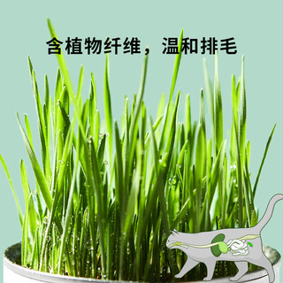 猫草冻干45g鸡肉鳕鱼猫咪零食宠物发腮排出毛球