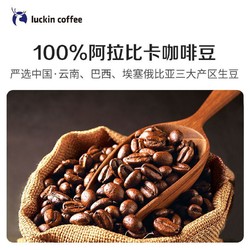 luckin coffee 瑞幸咖啡 粉250g*2袋意式拼配精品咖啡豆新鲜深烘黑咖啡