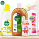 Dettol 滴露 消毒除菌清洁套装 消毒液750ml+衣物除菌液750ml+沐浴露950g