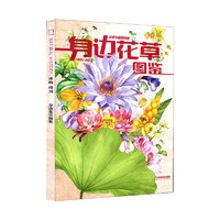 《博物杂志2022年增刊：身边花草图鉴》