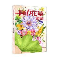 《博物杂志2022年增刊：身边花草图鉴》