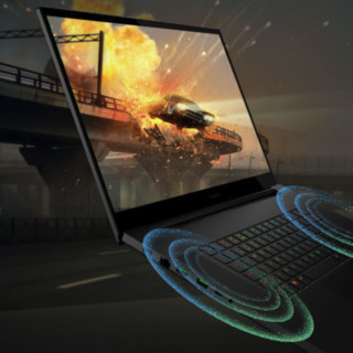 RAZER 雷蛇 灵刃 17 专业版 2021款 十代酷睿版 17.3英寸 游戏本 黑色（酷睿i7-10875H、RTX 3060 6G、16GB、512GB SSD、2K、360Hz）