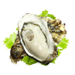 御鲜之王 鲜活生蚝2.5kg/10-15只  165-250g/只 海鲜水产海蛎子牡蛎烧烤食材