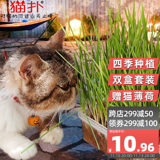 猫扑 水晶猫草猫草种子猫零食猫咪猫草种植套装送猫薄荷(2盒套装)