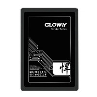 GLOWAY 光威 悍将 SATA3 固态硬盘 1TB