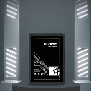 GLOWAY 光威 悍将 SATA 固态硬盘 1TB（SATA3.0）STK1TBS3-S7