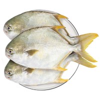 XIANGTAI 翔泰 原条金鲳鱼 1.2kg 3-4条