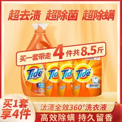 Tide 汰渍 洗衣液全效洁净超去渍超除菌超除螨持久留香洗衣液整箱批家用