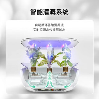 BOSCH 博世 智能室内种植机灌溉系统水培种植育苗机家庭花卉补光花盆 全庭种植机 绿植精灵MSGP3LCN