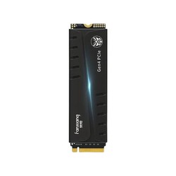 FANXIANG 梵想 S770 M.2接口 SSD固态硬盘 PCIe4.0 1TB