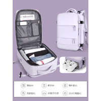 Landcase 背包旅行包女大容量双肩包15.6英寸行李包 1637浅紫色