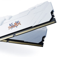 COLORFUL 七彩虹 16GB (8G×2) DDR4 3200 台式机内存条 马甲条 战斧·冰雪白 白色款 双通道内存
