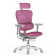 保友办公家具 金豪E 2代 人体工学电脑椅 粉红色 Q4.0版