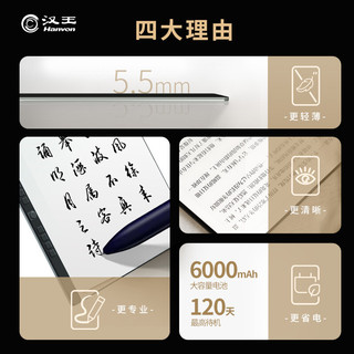 Hanvon 汉王 N10电纸书 10.3英寸墨水屏电子书阅读器 电纸本手写办公本记事本水墨平板 N10（4+64G）+手写板AT-9S