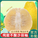 广东沙田柚新鲜白心柚子当季水果白肉4.3-4.5斤2个装