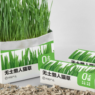 YANXUAN 网易严选 猫零食 猫草 25g