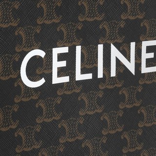 CELINE 思琳 Cabas系列 女士迷你标志印花竖款手袋 194372BZK 04LU 棕色