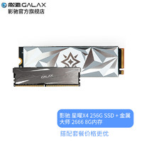 影驰 （Galaxy）星曜 SSD固态硬盘 M.2接口(NVMe协议) PCI-E 2280 硬盘 星曜X4 256G+金属大师2666 8G