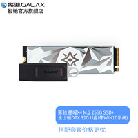 GALAXY 影驰 星曜 SSD固态硬盘 M.2接口(NVMe协议) PCI-E 2280 硬盘 星曜X4 256G 32GU盘(带WIN10系统)