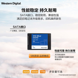 西部数据（WD） Blue系列-3D进阶高速读写版 蓝盘SATA3.0  笔记本台式机固态硬盘SSD 蓝盘1T+9.5MM光驱托架