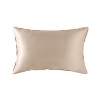 THE BEAST 野兽派 玻尿酸真丝枕套 雾霭金 48*74cm