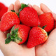 大凉山草莓  1斤13-18g