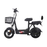 ZUB 五星钻豹 L3 电动自行车 TDT31Z 48V12Ah铅酸电池 源彩黑