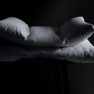 SIDANDA 诗丹娜 科学睡眠系列 侧睡复合鹅绒枕 40*67cm 高枕