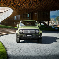 TANK 坦克 300 23款 2.0T 20万辆纪念版