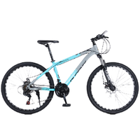 PHOENIX 凤凰 传世5.8 山地自行车 SQ-CS5.8 消光灰兰 24英寸 24速