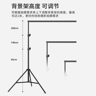 YOUFES 漾菲斯 YH1专业直播绿幕抠像布支架设备套装