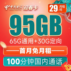 CHINA TELECOM 中国电信 迎春卡 29元月租（65G通用流量+30G定向流量+100分钟通话）可发北京 长期套餐