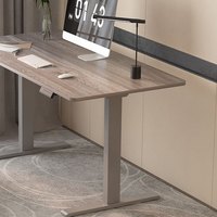 FitStand FS2 电动升降桌 灰色+灰木纹 120*60cm