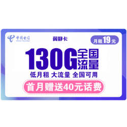 CHINA TELECOM 中国电信 翼静卡 19元月租（100G通用流量+30G定向流量）赠送40话费