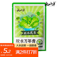 云山半 脱水万年青菜干 脱水蔬菜干货干菜 农家特产鲜嫩菜芯干炒饭菜煮汤包子馅料 150g（10包装）