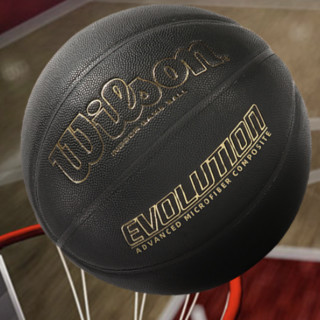 Wilson 威尔胜 EVOLUTION PU篮球 WTB0523CN7 黑色/金色 7号/标准