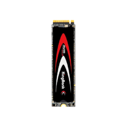 KINGBANK 金百达 KP260系列 NVMe M.2 固态硬盘 1TB（PCI-E4.0）